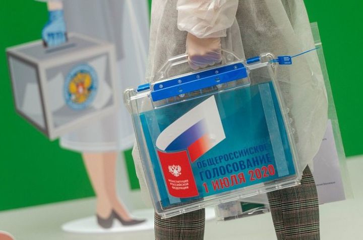 Более 200 тыс. татарстанцев участвовали в общероссийском голосовании 2020 на дому