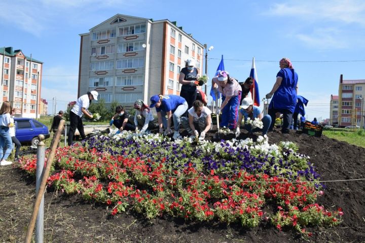 Нурлатские единороссы высадили более 2000 корней цветов на клумбе по ул. Кариева