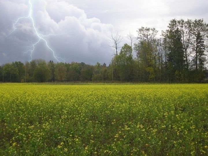 Предупреждение об интенсивности метеорологических явлений на территории Республики Татарстан