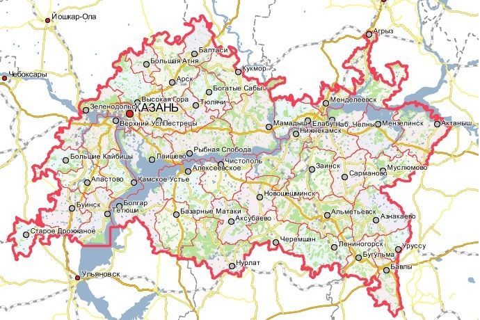 В 12 районах Татарстана подтверждены 35 случаев COVID-19, один из которых - завозной