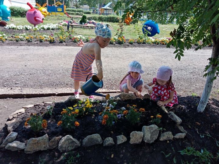 С началом лета на участке детского сада «Елочка» расцвели цветочные клумбы