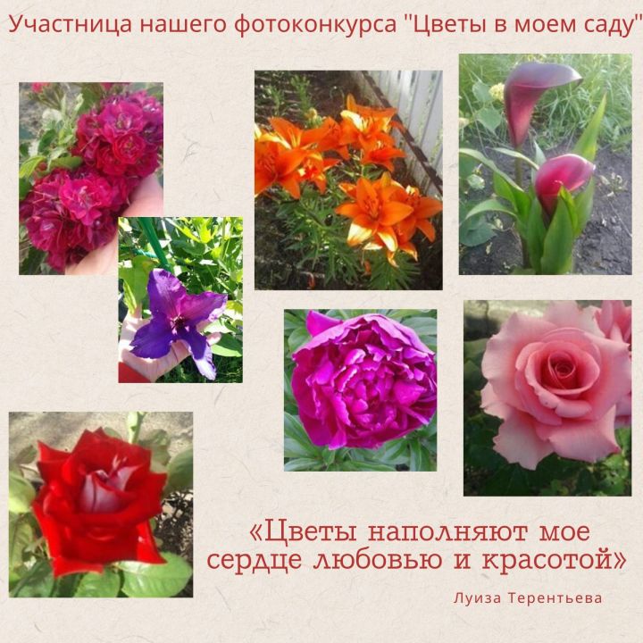 Участница нашего фотоконкурса «Цветы в моем саду»: «Цветы наполняют мое сердце любовью и красотой»