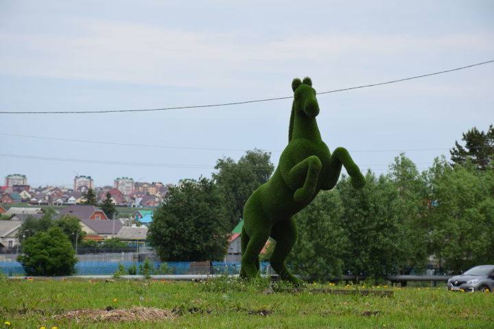 Доброе воскресное утро, любимый город мой!