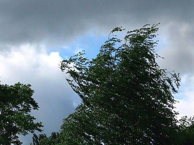 Метеорологи на 2 августа прогнозируют сильный дождь, грозы, сильный ветер 