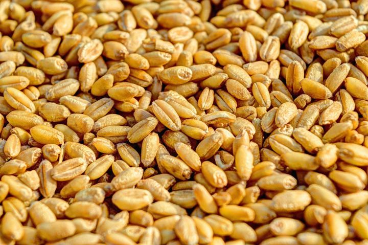 Татарстанские аграрии собрали еще миллион тонн зерна нового урожая