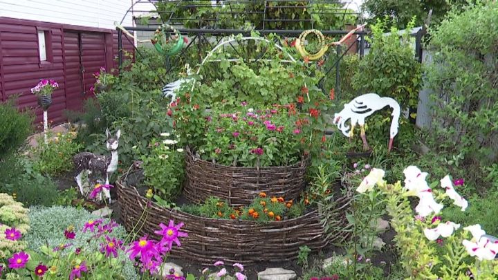 Гумер и Гульсира Гарифуллины из Нурлата уделяют большое внимание украшению своего сада