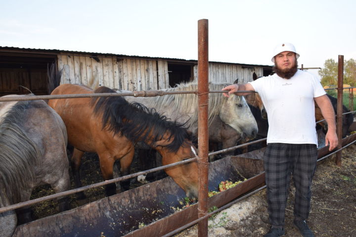 Ойбек Худояров из Илюткина занимается коневодством и овцеводством