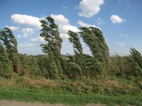 На территории Республики Татарстан ожидается сильный ветер