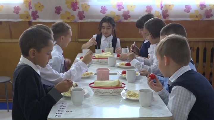 В школах Нурлатского района организовано горячее питание по новым требованиям