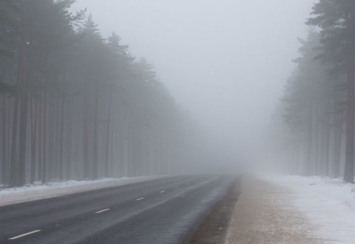Синоптики прогнозируют на 24 января туман, на дорогах сильную гололедицу