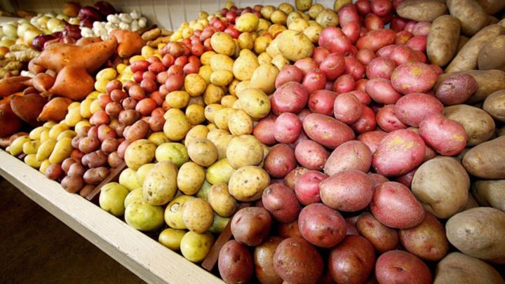 Минсельхозпрод РТ: «Поставка овощей на ярмарки повысилась вдвое»