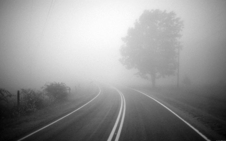 МЧС РТ предупреждает участников дорожного движения о тумане