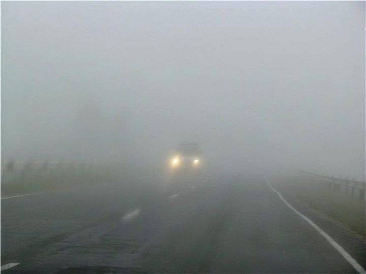 Туман ограничит видимость на дорогах в Республике Татарстан