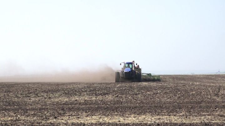 На полях Нурлатского района начался сев озимых культур