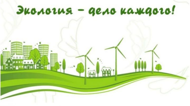 Татарстанские школьники вошли в десятку лидеров Международной детско-юношеской премии «Экология – дело каждого»