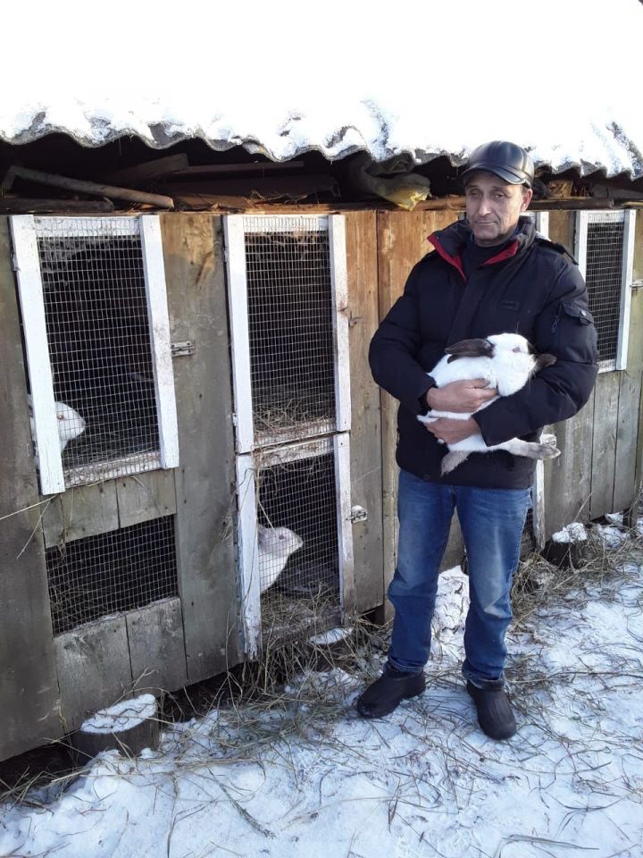 В подворье Ерховых из села Селенгуши кролики растут белыми и пушистыми