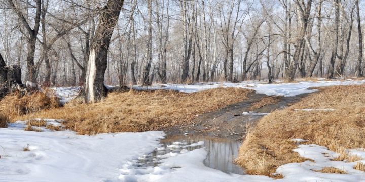 Со следующей недели в Татарстане ожидается повышение температур