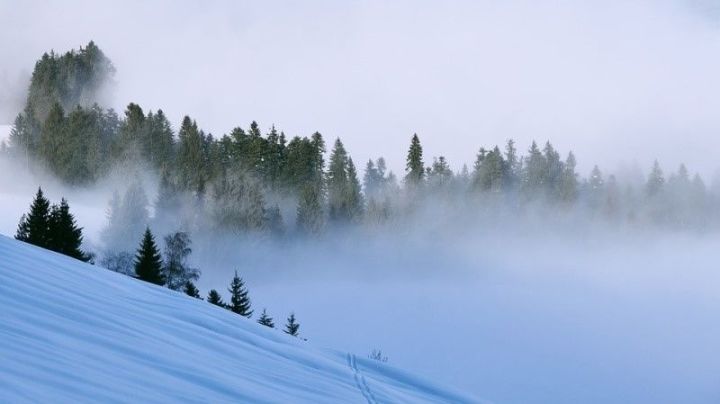 В Нурлате утром 3 марта снова ожидается туман