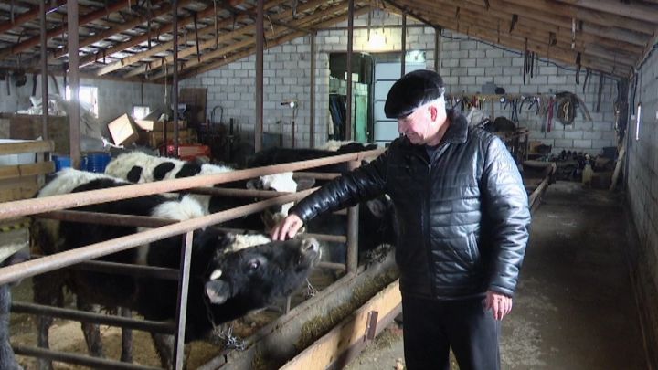 Житель Степного Озера Иршат Зайнуллин готов обеспечивать мясной и молочной продукцией со своего ЛПХ