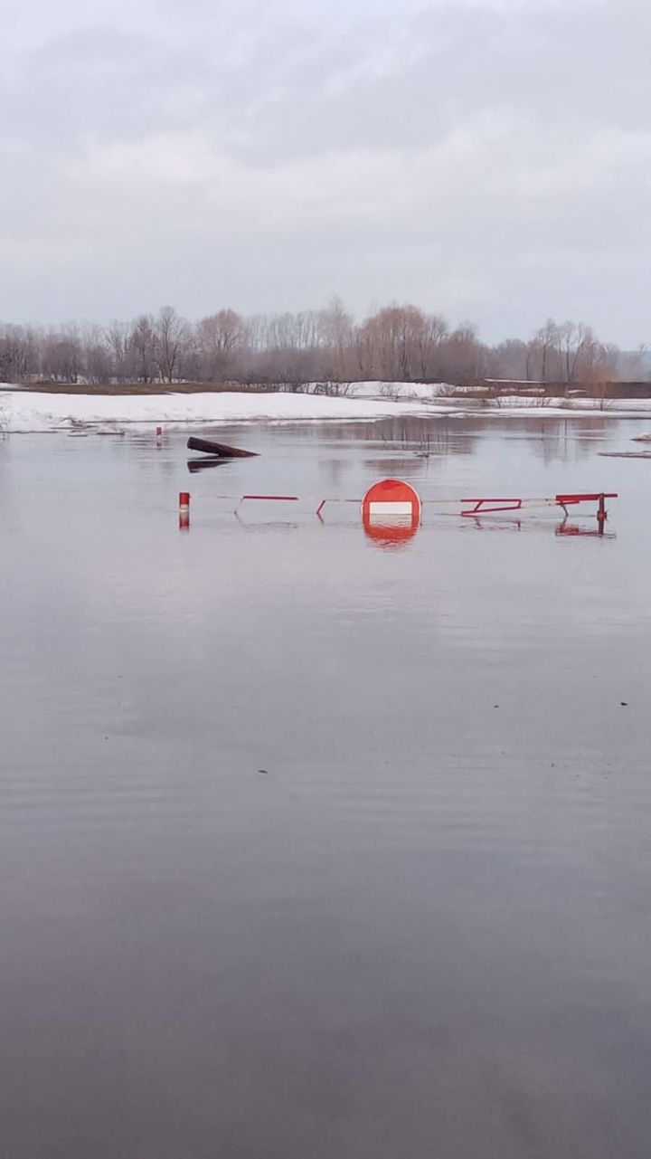 В Татарстане паводковые воды затопили пять мостов