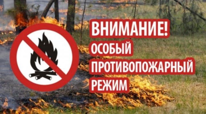 На территории Республики Татарстан устанавливается особый противопожарный режим