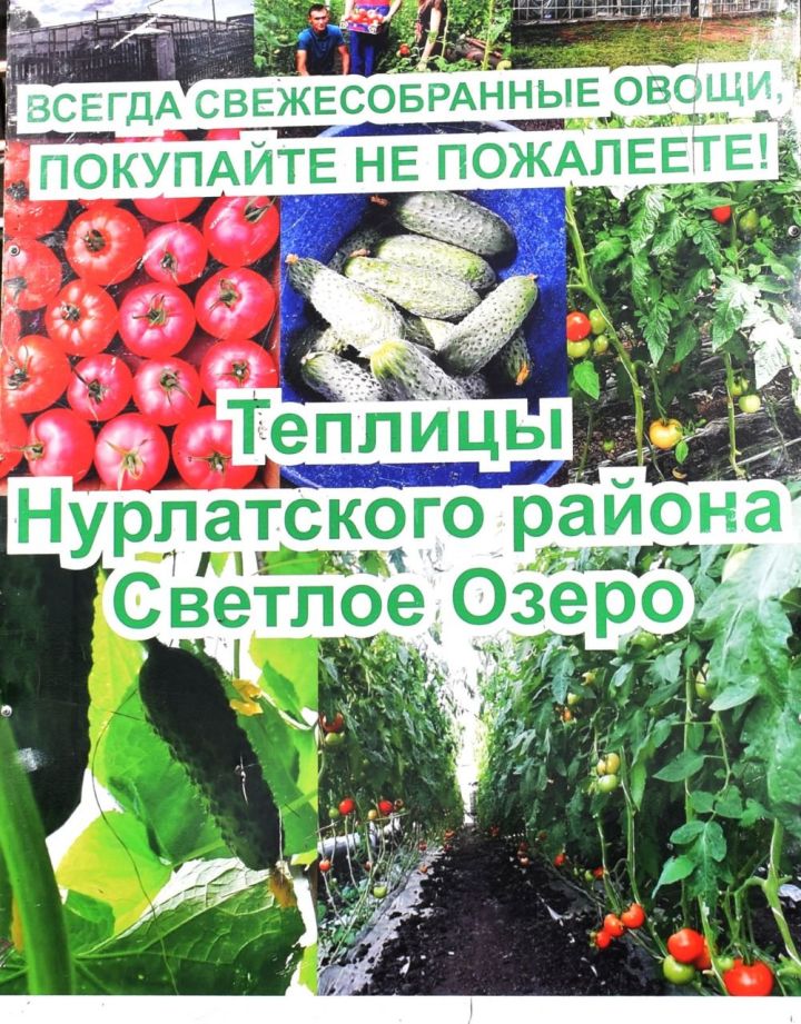 Районка «Дуслык» («Дружба», «Туслах») объявляет «Овощную декаду» для подписчиков