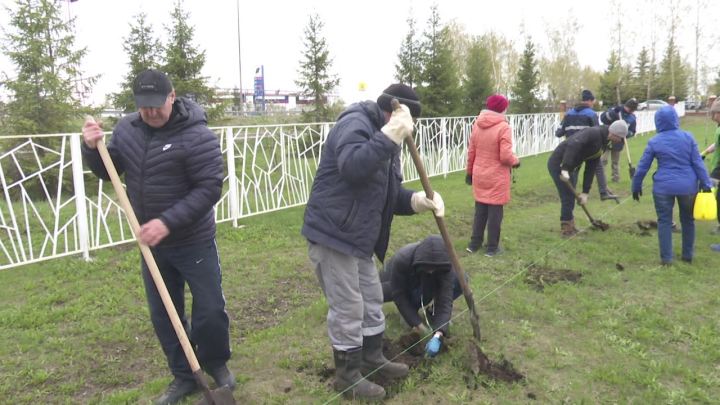 Нурлатцы присоединились к международной акции и посадили свой «Сад памяти»