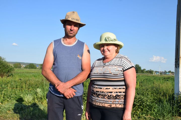 Михайловы из села Богдашкино развивают хозяйство с помощью программы «Агростартап»&nbsp;