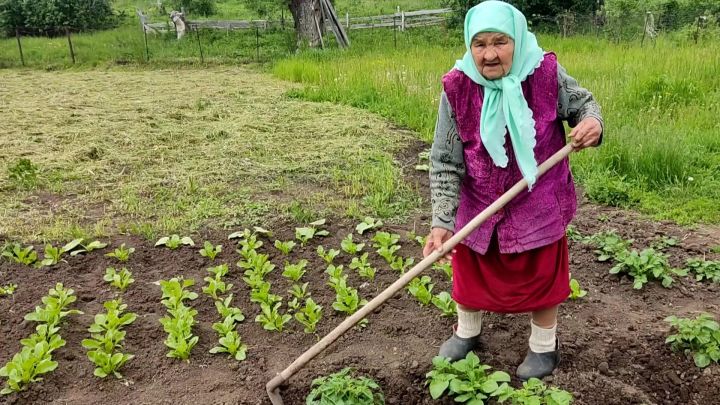 Салиме Хабибуллиной из Старой Амзи исполнилось 95
