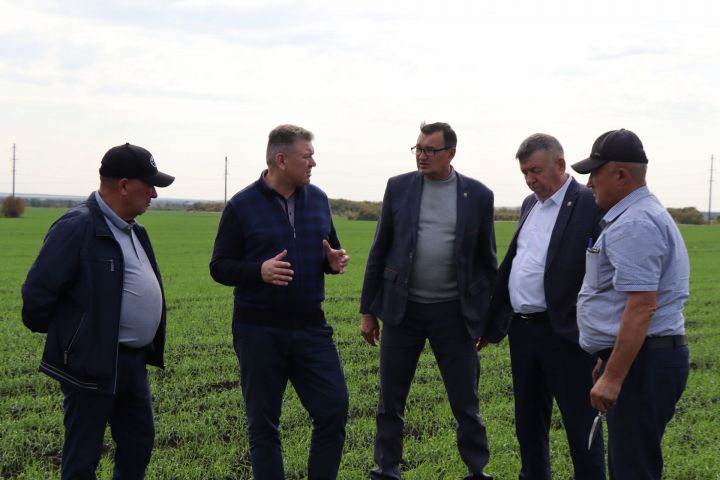 Глава Нурлатского района Алмаз Ахметшин побывал на полях агрофирмы «Южная»