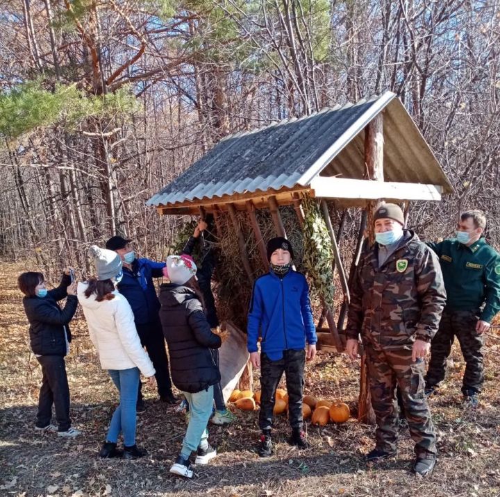 Для подкормки диких животных в зимнее время сотрудники Госкомитета РТ по биоресурсам заготовили веники, сено и зерно