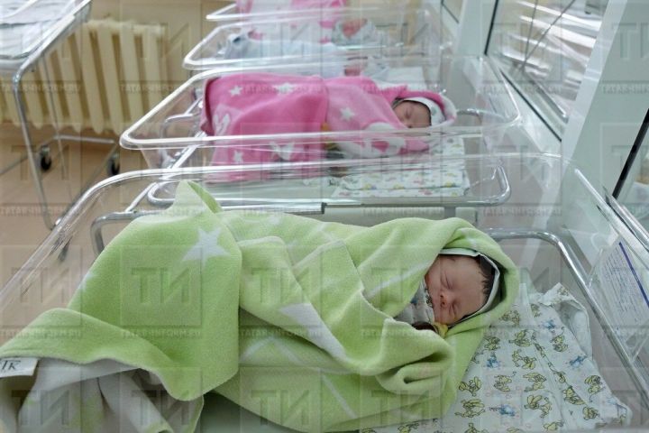 Какие основные выплаты могут получить семьи с детьми в 2023 году
