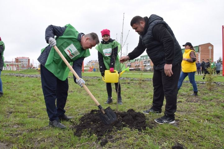 Сосны, ели и липы в количестве 1 млн саженцев высадят в Татарстане участники акции «Сад памяти»