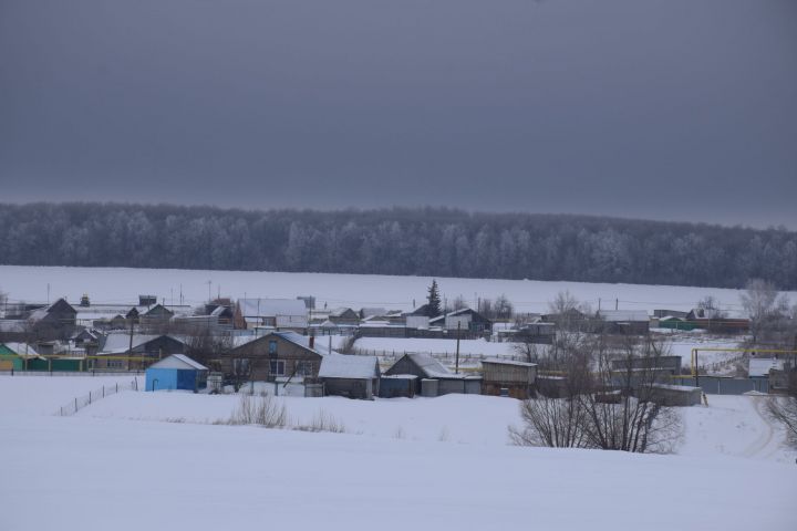 На территории Нурлатского района находится самое большое лесничество в Республике Татарстан