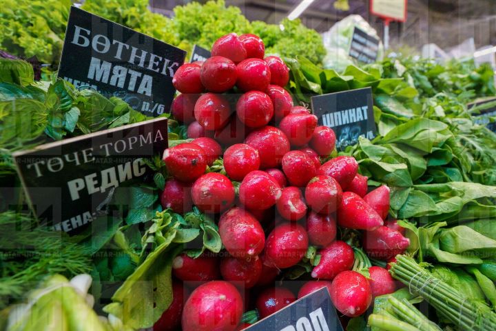 Как весной получить ранний урожай редиса и зелени