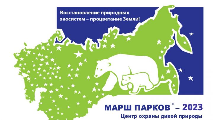 В Татарстане идет прием заявок на участие в Международной акции «Марш парков-2023»
