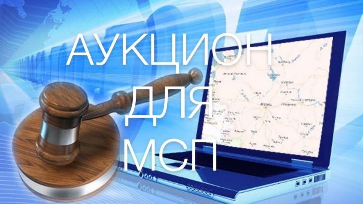 Субъекты МСП и самозанятые Татарстана могут участвовать в аукционных торгах