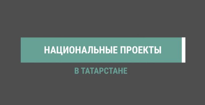В Татарстане по нацпроекту стартуют новые круизы по Волге и авиарейсы в Сочи и Алтай