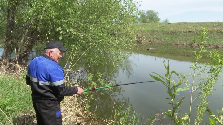 От укусов клещей в Нурлатском районе пострадали более 60 человек
