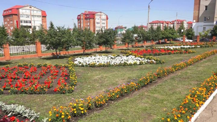 В Нурлате объявлен конкурс на лучшее благоустройство, озеленение и цветочное оформление города