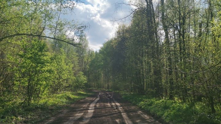 В 2022 году врачебная помощь понадобилась более 10 татарстанцам после укуса змей