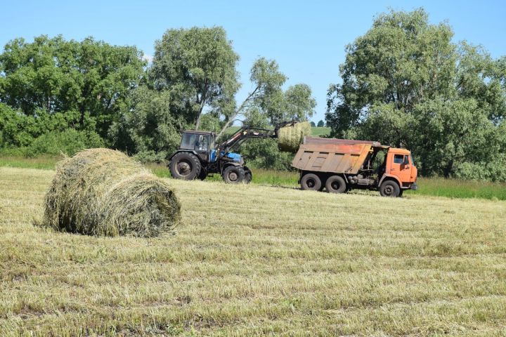 Сельскохозяйственные предприятия Нурлатского района начали сезон заготовки кормов