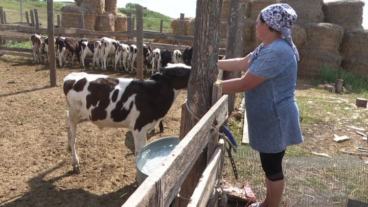Джумабаевы из Нового Иглайкина строят дом на прибыль, полученную от своего ЛПХ