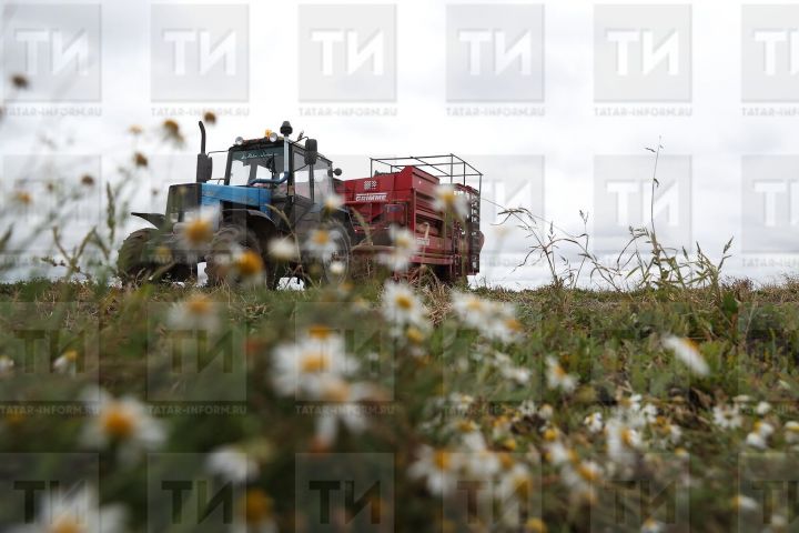По нацпроекту «Экология» Минлесхоз Татарстана за пять лет приобрел 110 единиц техники