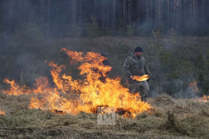 Нурлатцам напоминают о пожарной безопасности в осеннем лесу