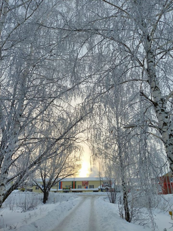 Ночью в Нурлатском районе может похолодать до -31˚