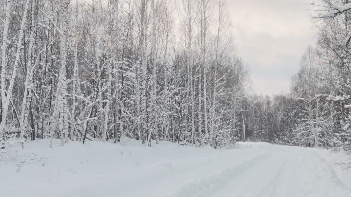 В Нурлате завтра ветрено, ожидается метель