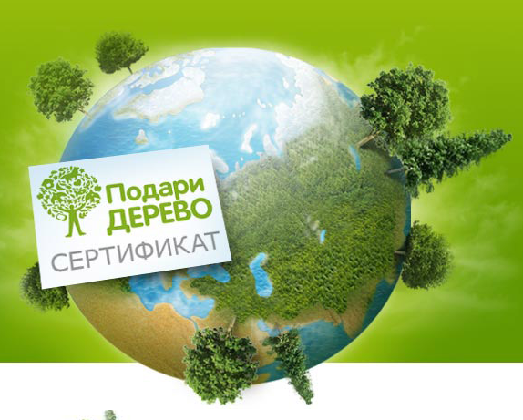 Ежегодный экомарафон «Сдай макулатуру – спаси дерево» стартует в Татарстане 16 апреля