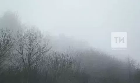 В Нурлате завтра ожидается туман