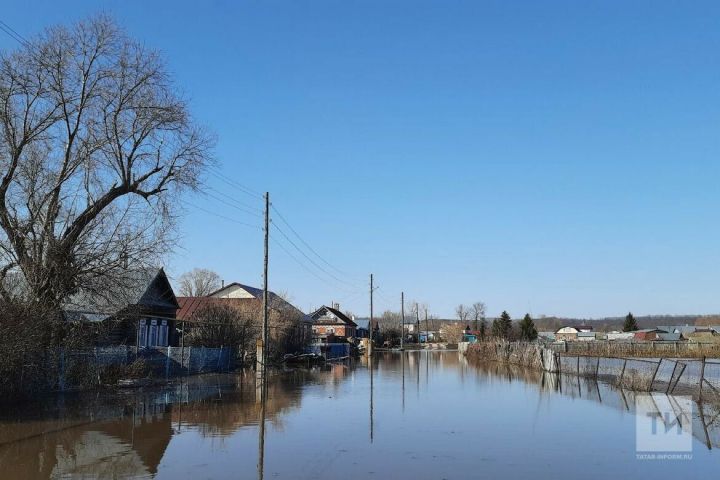 В «Нурлат-информе» состоится прямой эфир «Открытый микрофон»
